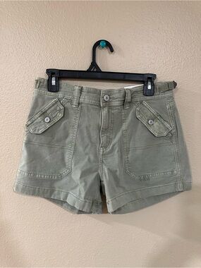 American Eagle Outfitters Olive Utility Cargo Shorts